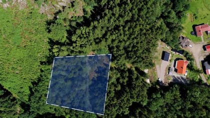 Bild av trädgården