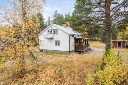 Bild av trädgården