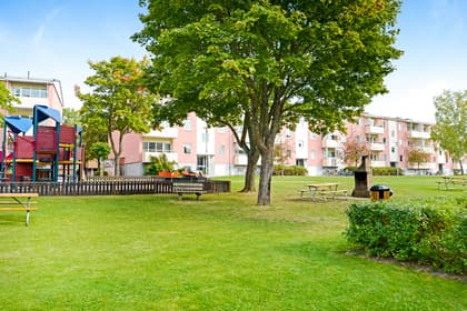 Bild av trädgården