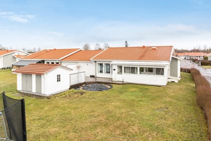 Bild av trädgården