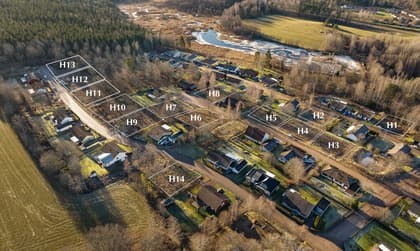 Bild av trädgården