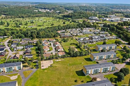 Bild av trädgården