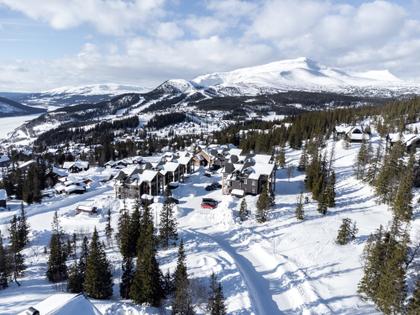 Björnen Örnen 21N, Åre Björnen