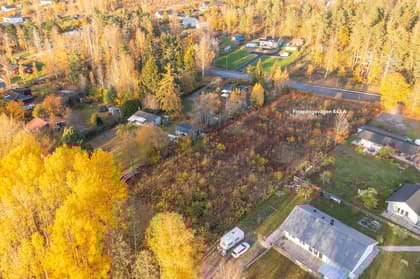 Bild av trädgården