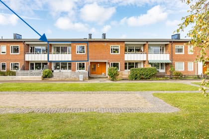 Bild av trädgården