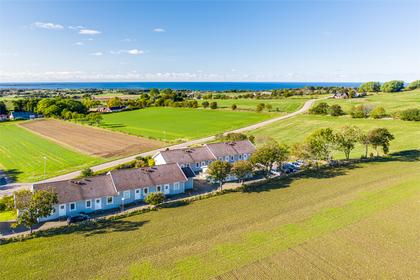 Bild av trädgården