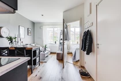 Hundestedsvägen 4, Bjärehalvön