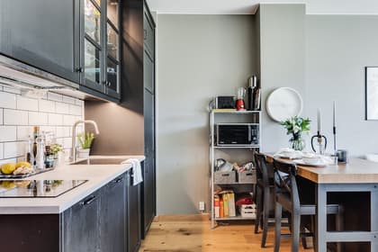 Hundestedsvägen 4, Bjärehalvön