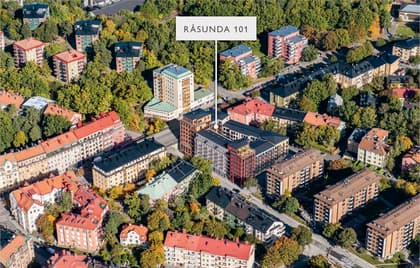 Bild av trädgården