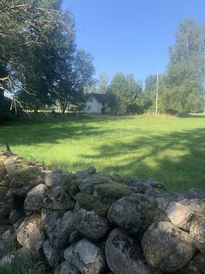 Bild av trädgården