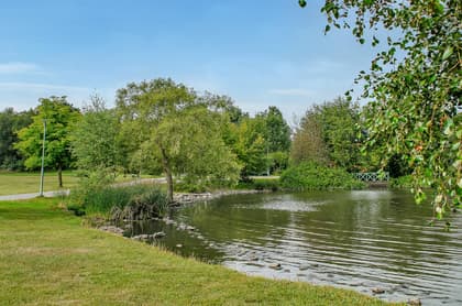 Bild av trädgården