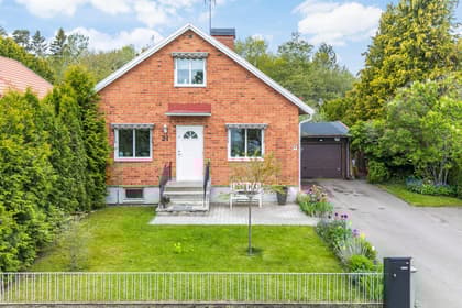 Bild av trädgården