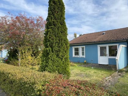 Bild av trädgården