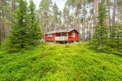 Bild av trädgården