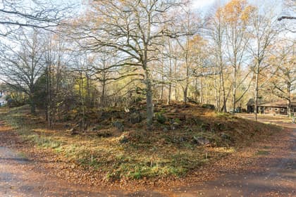 Bild av trädgården