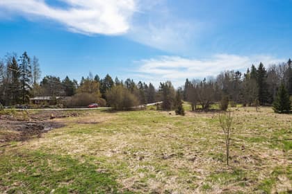 Bild av trädgården