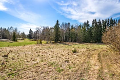 Bild av trädgården