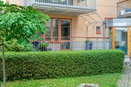 Bild av trädgården