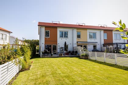 Bild av trädgården