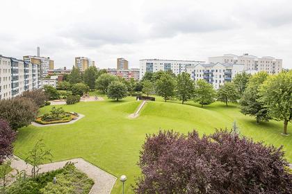 Bild av trädgården