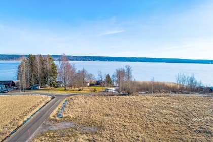 Bild av trädgården