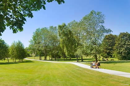 Bild av trädgården