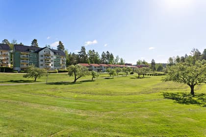 Bild av trädgården