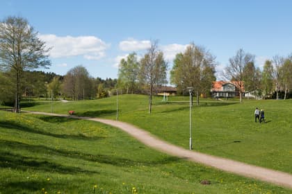 Bild av trädgården