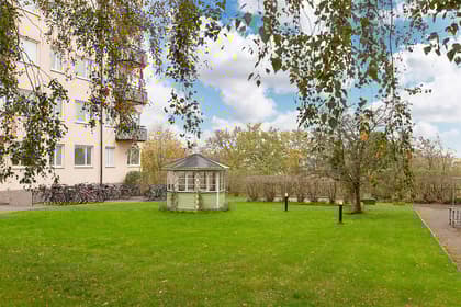 Bild av trädgården