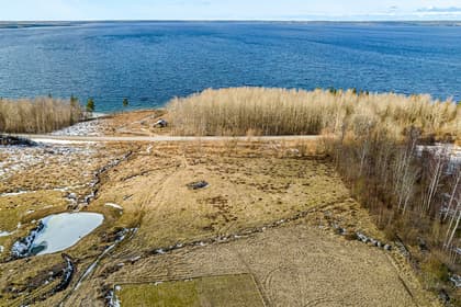 Bild av trädgården