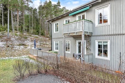 Bild av trädgården