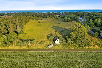 Bild av trädgården