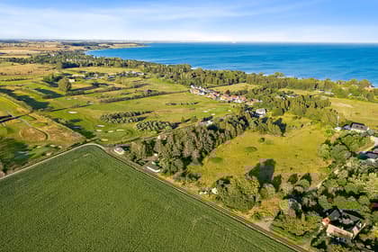 Bild av trädgården