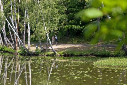 Bild av trädgården