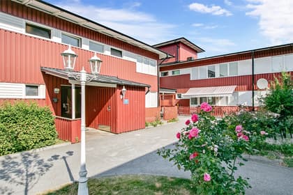 Bild av trädgården