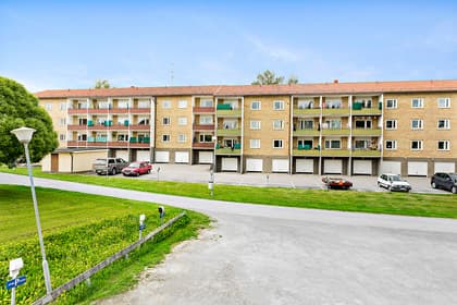 Bild av trädgården