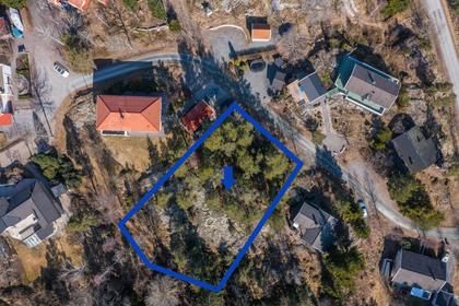 Bild av trädgården