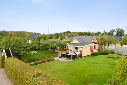 Bild av trädgården