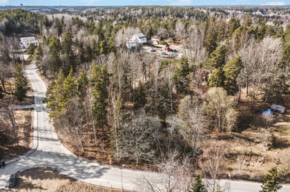 Bild av trädgården