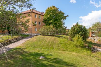 Bild av trädgården