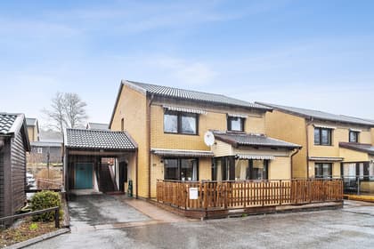 Bild av trädgården