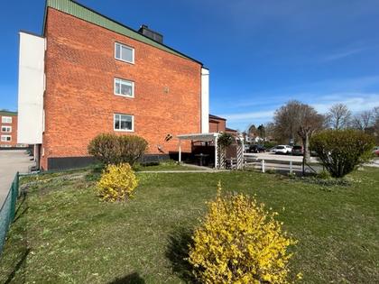 Bild av trädgården