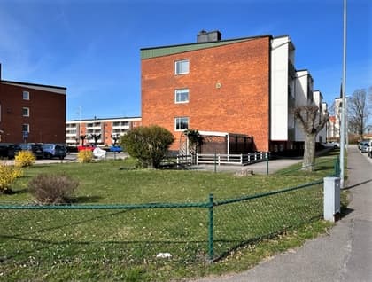 Bild av trädgården