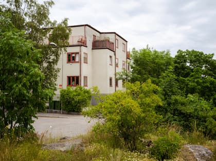 Bild av trädgården