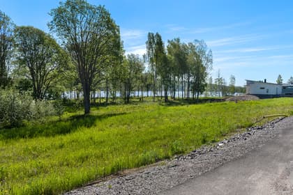 Bild av trädgården