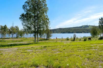 Bild av trädgården