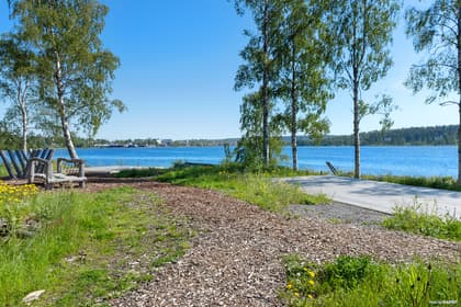 Bild av trädgården