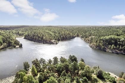 Bild av närområdet