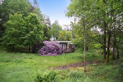 Bild av trädgården