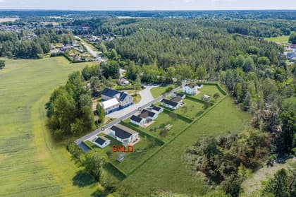 Bild av trädgården